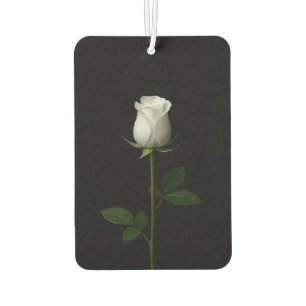 Désodorisant Pour Voiture Parfums de voiture Black 4 Luxe, Rose blanche pure
