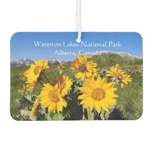 Désodorisant Pour Voiture Parking national des Lacs-Waterton Freshener