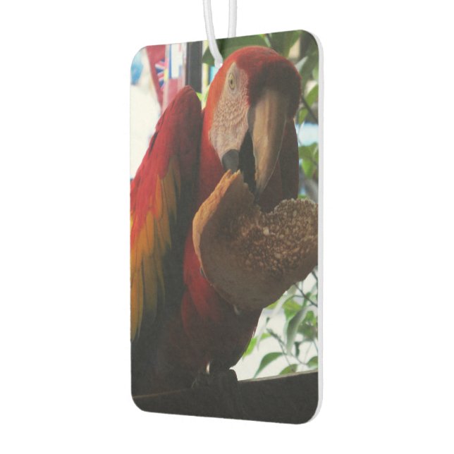 Désodorisant Pour Voiture Parrot Macaw Scarlet Manger Toast (Gauche)