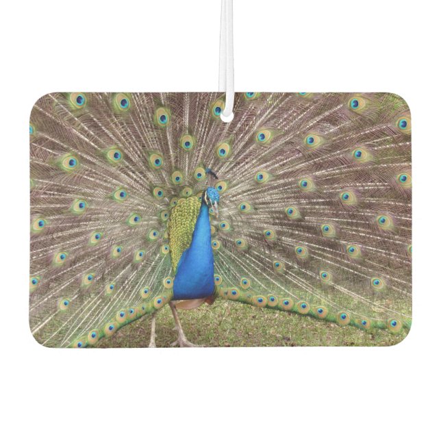 Désodorisant Pour Voiture Peacock Air Freshener (Devant)
