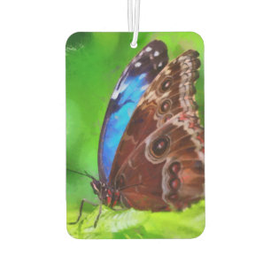 Désodorisant Pour Voiture Peinture à papillon