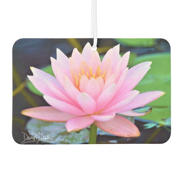 Désodorisant Pour Voiture Perfect Pink Beauty (Devant)