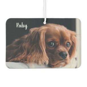 Désodorisant Pour Voiture Personnalisé Ruby Cavalier King Charles Spaniel