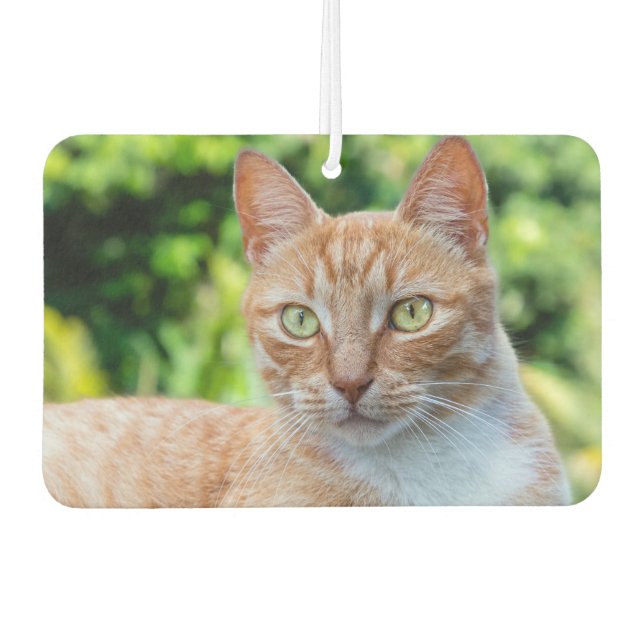 Désodorisant Pour Voiture Petit chou doux (Devant)