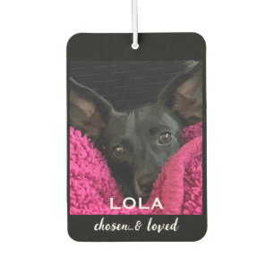 Désodorisant Pour Voiture Photo de chien personnalisé Choisi et Aimé