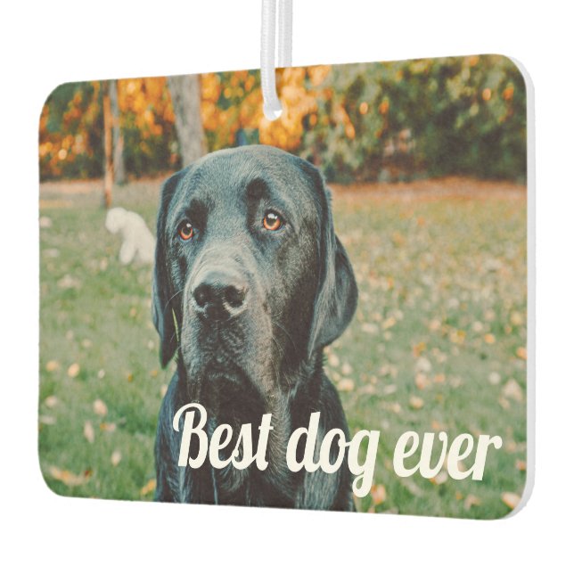 Désodorisant Pour Voiture Photo et texte personnalisés (Gauche)