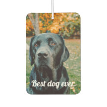 Photo et texte personnalisés