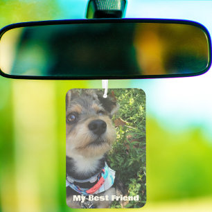 Désodorisant Pour Voiture Photo personnalisé de mémorial de chien chat avec