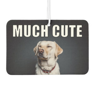 Désodorisant Pour Voiture Photo Personnalisée Pour Animaux De Compagnie Drôl