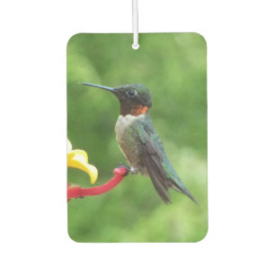 Désodorisant Pour Voiture Photographie d'oiseau Colibri à gorge rubis