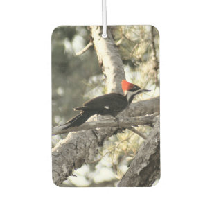 Désodorisant Pour Voiture Pic pilé Air Freshener