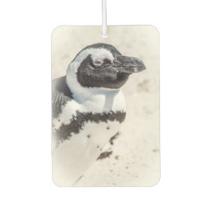Désodorisant Pour Voiture Pingin Portrait Air Freshener