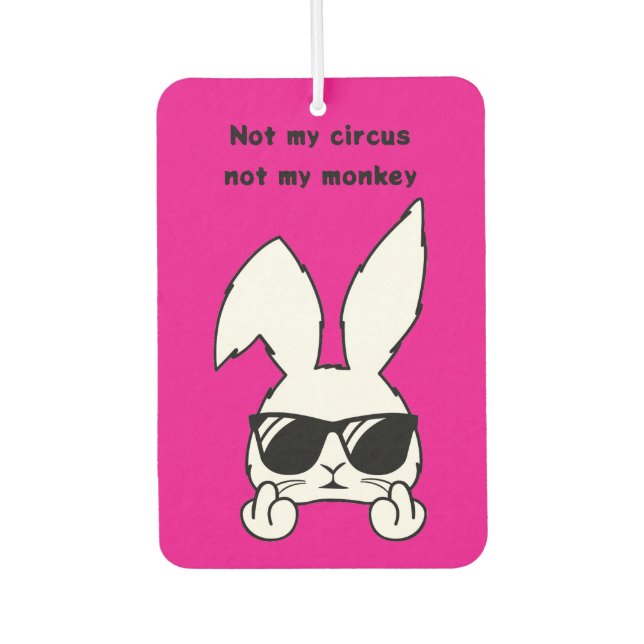 Désodorisant Pour Voiture Pink Bunny (Devant)