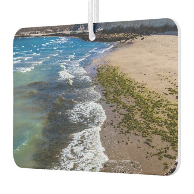 Désodorisant Pour Voiture Plage à Puerto Piramides, Argentine (Gauche)