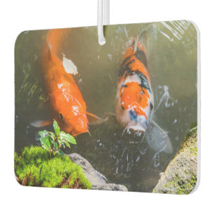 Désodorisant Pour Voiture Poisson Koi dans un étang