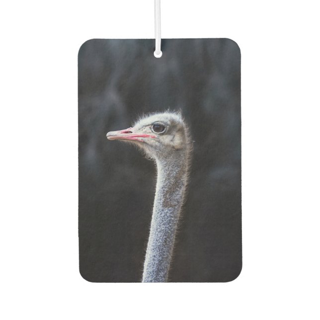 Désodorisant Pour Voiture portrait d'autruche (Devant)