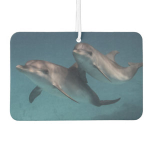 Désodorisant Pour Voiture Pose joueuse