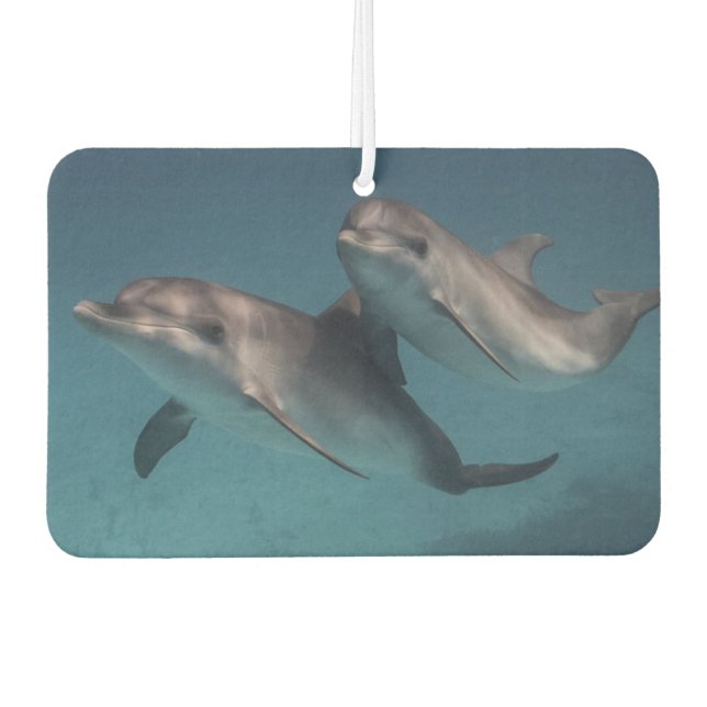 Désodorisant Pour Voiture Pose joueuse (Devant)