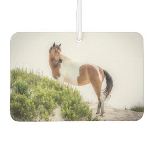 Désodorisant Pour Voiture Protecteur du Freshener Air des Dunes