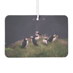 Désodorisant Pour Voiture Puffins de l'Atlantique