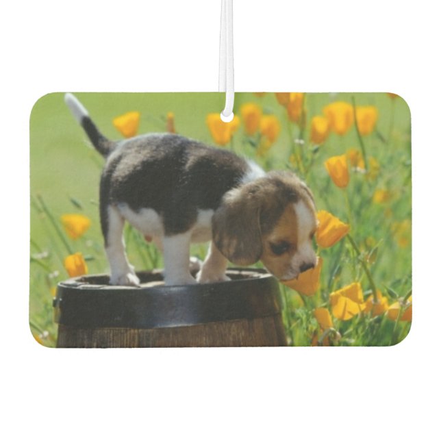 Désodorisant Pour Voiture Puppy Air Freshener (Devant)