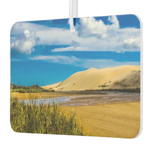 Désodorisant Pour Voiture Quicksand stream près de 90-Mile Beach, Nouvelle-Z