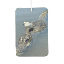 Rafraîchiseur d'air de voiture Alligator