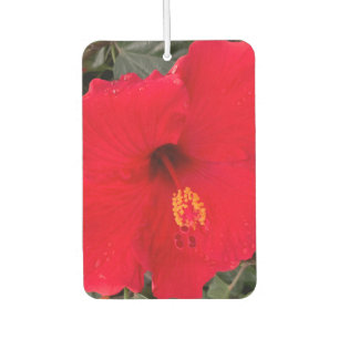 Désodorisant Pour Voiture Red Hibiscus Air Frehener