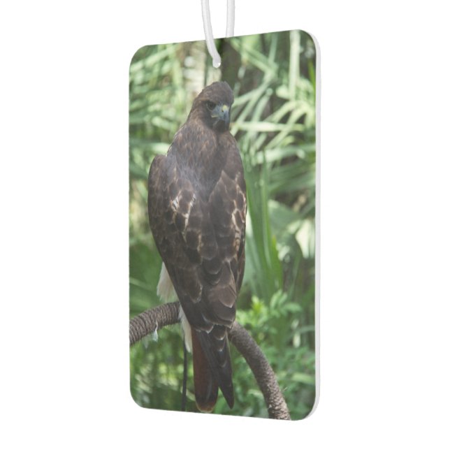 Désodorisant Pour Voiture Red Tail Hawk Bird (Gauche)