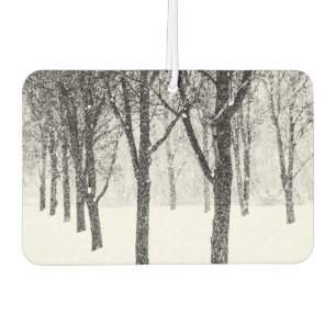 Désodorisant Pour Voiture ris I side with trees