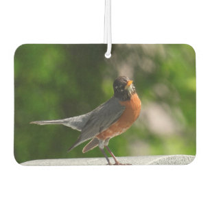 Désodorisant Pour Voiture Robin mignon