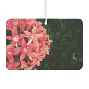Désodorisant Pour Voiture Rose