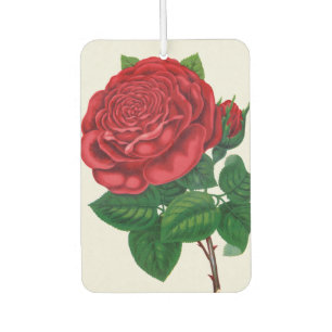Désodorisant Pour Voiture Rose Print Rochester Lithographing and Printing Co