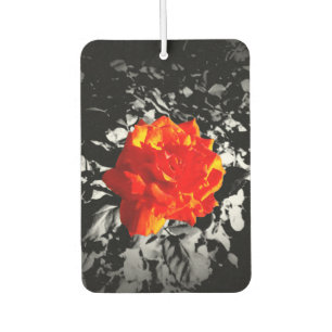 Désodorisant Pour Voiture Rose rouge Rectangle Air Freshener