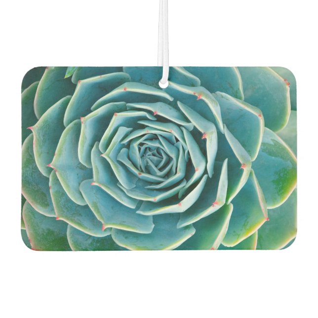 Désodorisant Pour Voiture Rosette d'Echeveria, Jardin Secret de Marrakech (Devant)