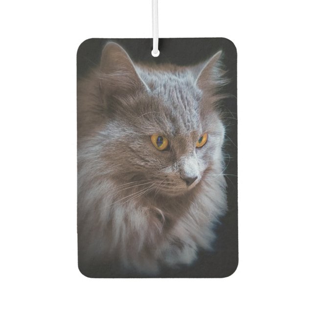 Désodorisant Pour Voiture Russe race bleue Gris Gris Nebelung Chat (Devant)