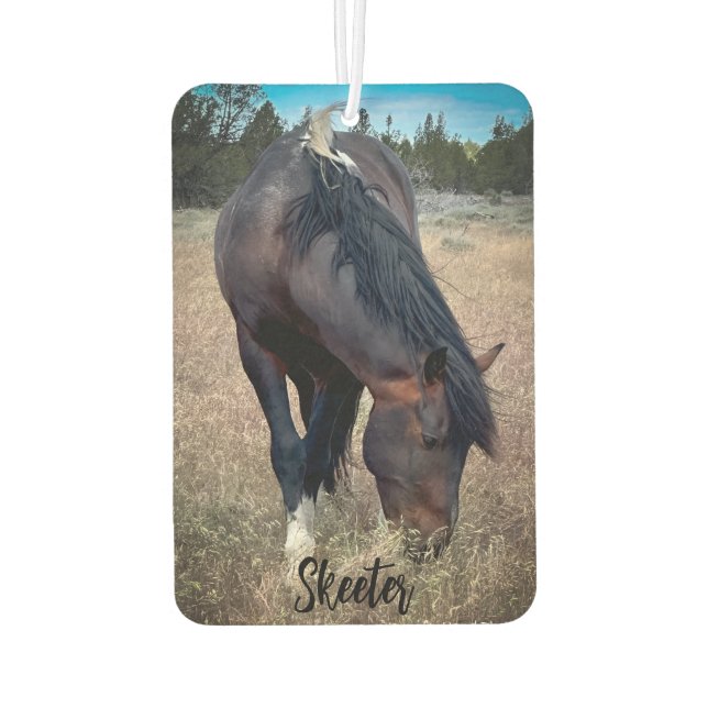 Désodorisant Pour Voiture S Steens Stallions Air Freshener (Dos)