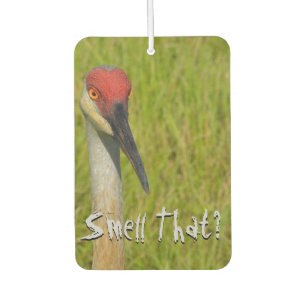 Désodorisant Pour Voiture Sand Hill Crane Oiseau Faune Photo Jolie Typograph