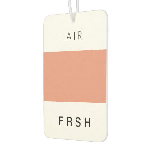 Désodorisant Pour Voiture SAUMON foncé FRSH