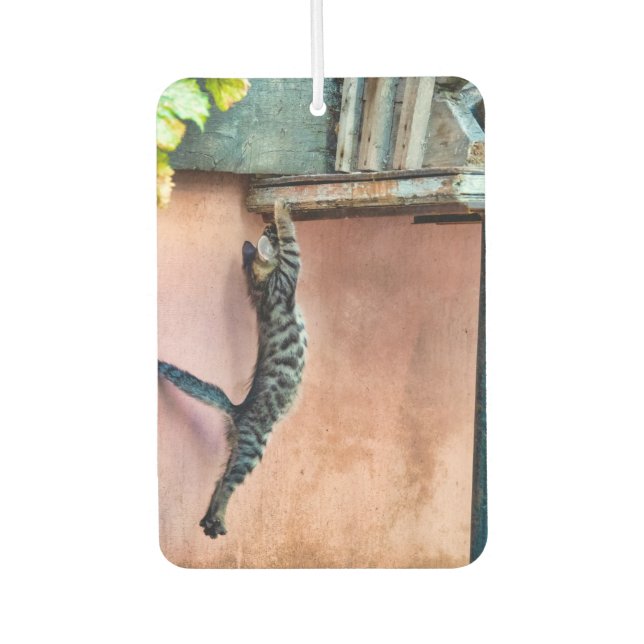 Désodorisant Pour Voiture Saut de chaton (Devant)
