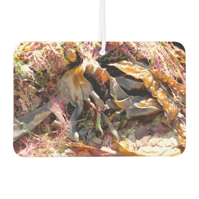 DÉSODORISANT POUR VOITURE SEAWEED (Devant)