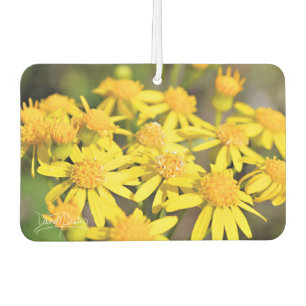 Désodorisant Pour Voiture Simplement jaune