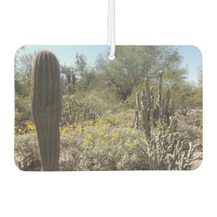 Désodorisant Pour Voiture Sonoran Desert Air Freshener