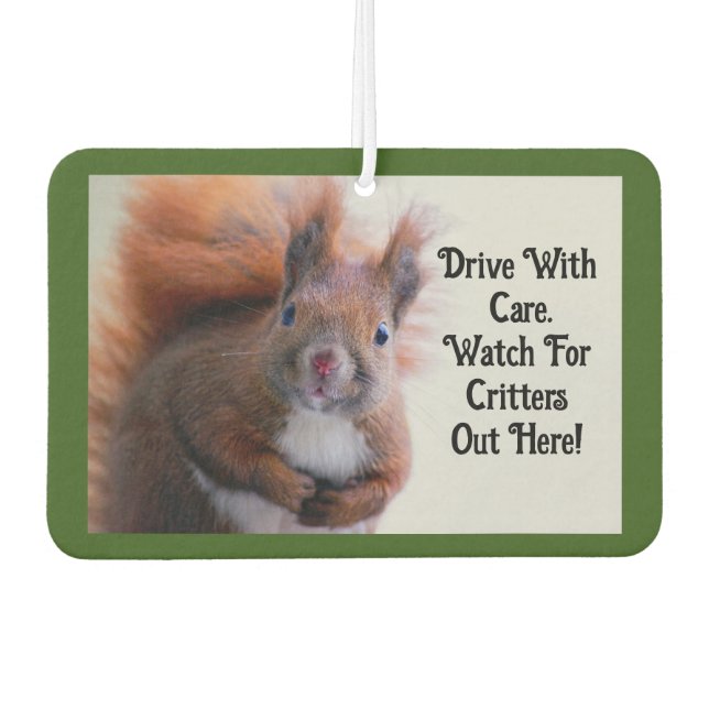 Désodorisant Pour Voiture Squirrel Car Air Freshener (Devant)