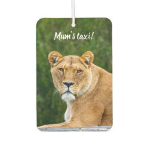Désodorisant Pour Voiture Taxi de maman - Lion Rafraîchiseur d'air