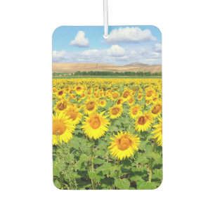 Désodorisant Pour Voiture Terrain de tournesol