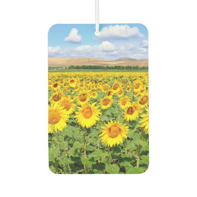 Désodorisant Pour Voiture Terrain de tournesol (Devant)