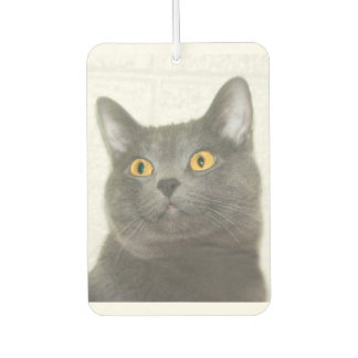 Désodorisant Pour Voiture Tête de kitty gris