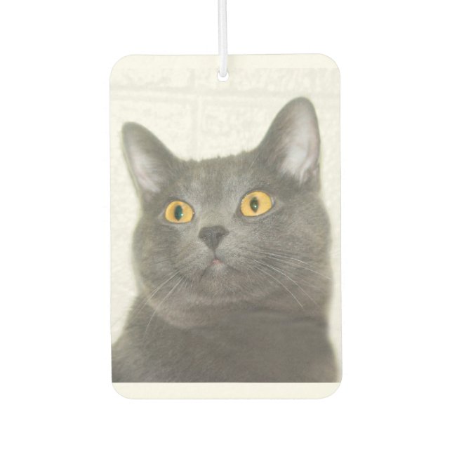 Désodorisant Pour Voiture Tête de kitty gris (Devant)