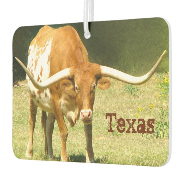Désodorisant Pour Voiture Texas Longhorn (Gauche)